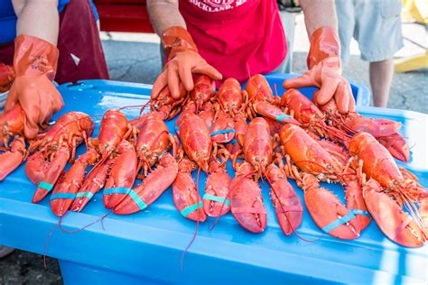 Lobster festival - When you visit the Maine Lobster Festival, you’ll find more than delicious seafood… You’ll also be able to do some shopping! The Marketplace Festival visitors will find a wide variety of displays, demonstrations, and items for sale in this tent, located next to the Eating Tent. Commercial exhibitors, craft vendors, displays by voluntary and non-profit 